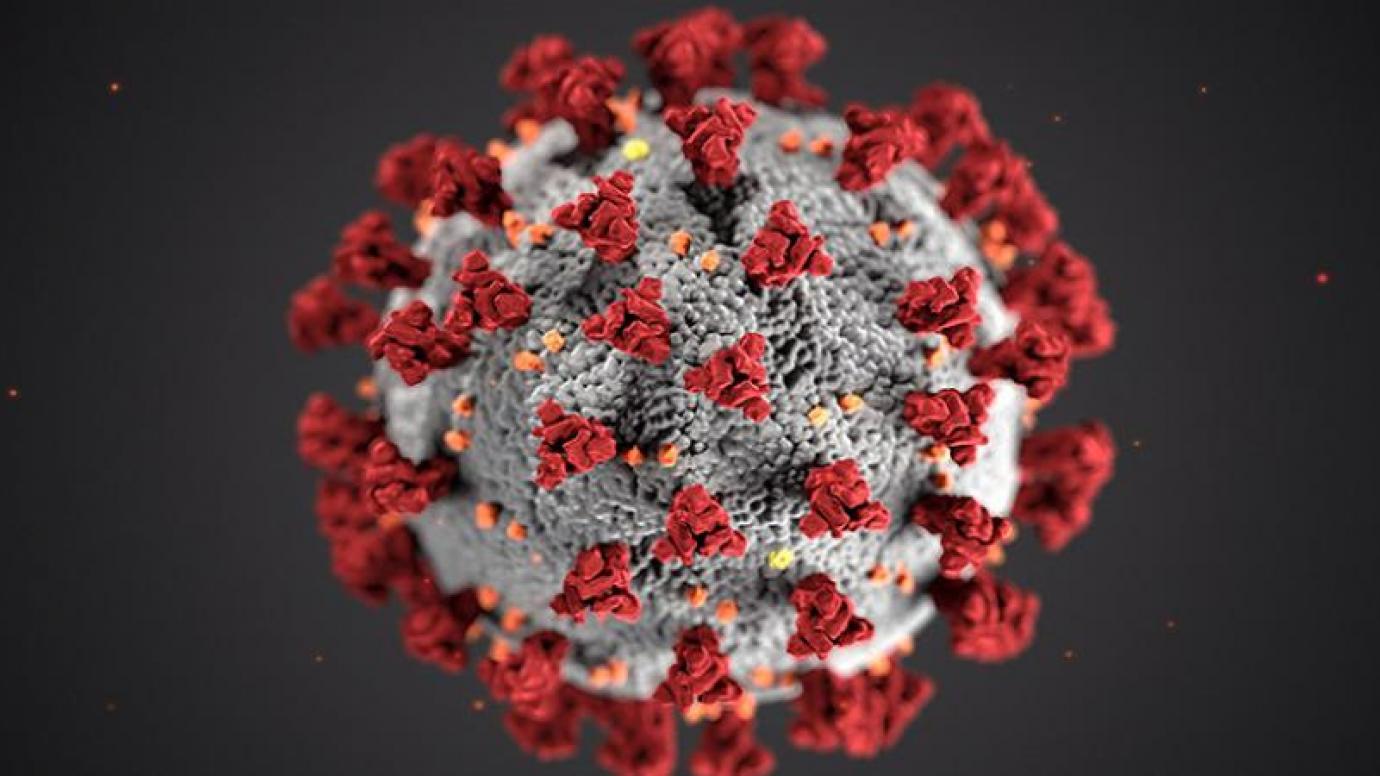 Coronavirus image 2020
