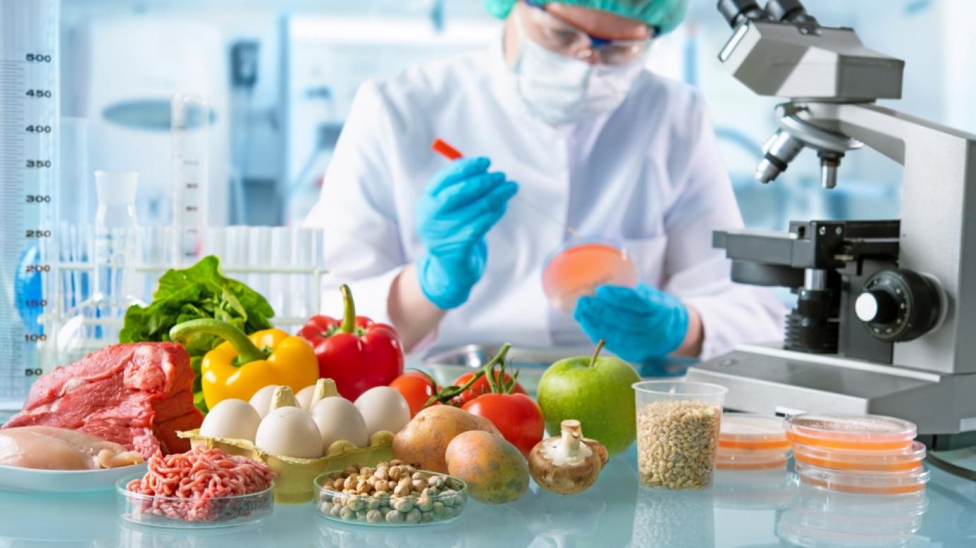 Range of foods being tested in a lab