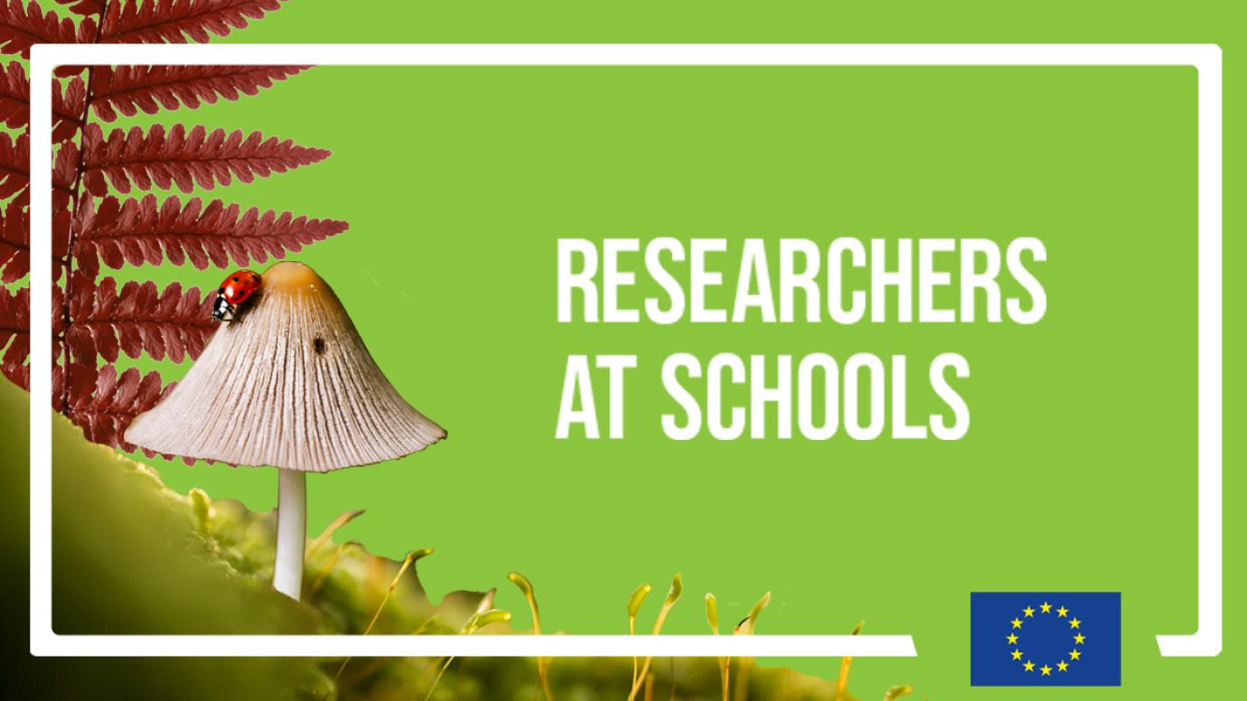 Image composition with various nature elements (mushroom, insects, plants) and text "Researchers at Schools"