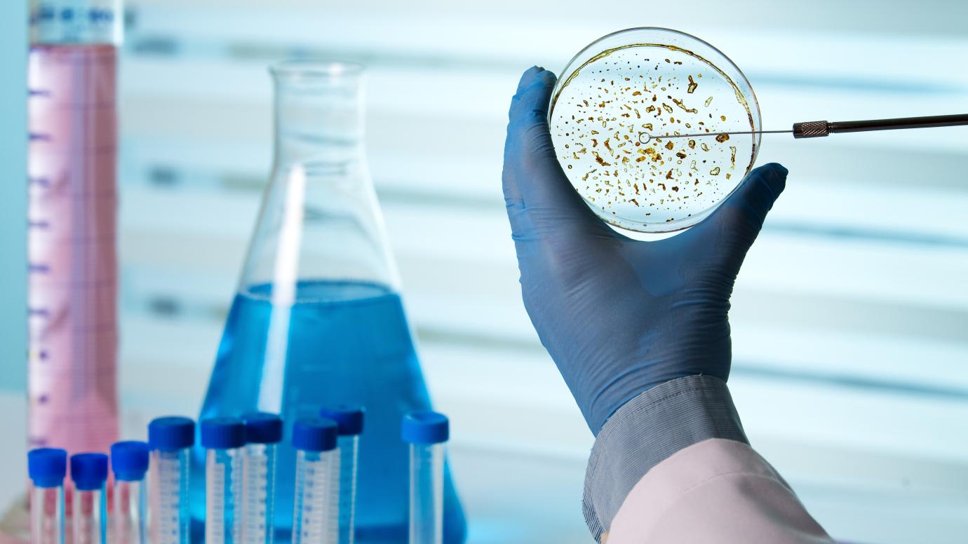 technician holding a petri dish in the biological lab