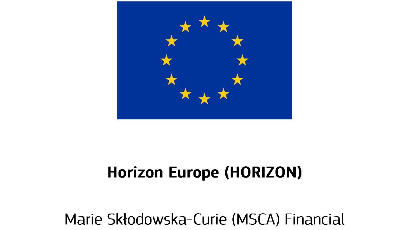 horizon MSCA financial guide cover page