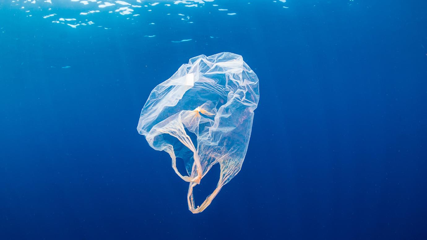 A plastic bag drifting in blue ocean waters