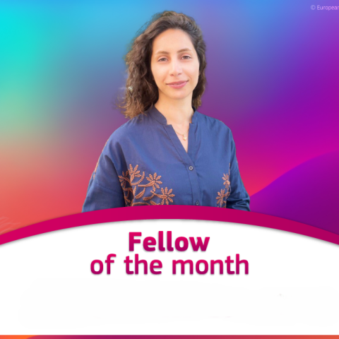 Dr. Fatemeh Mokhtari
